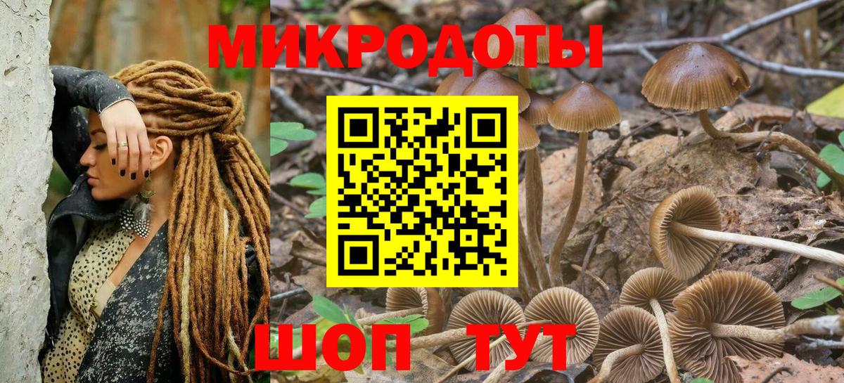 Псилоцибиновые грибы ЛСД  Вход с VPN  Псилоцибиновые грибы прущие грибы  купить закладку  Долгопрудный 